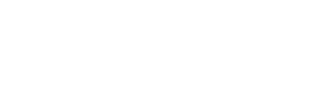 Nestre Performance Logo